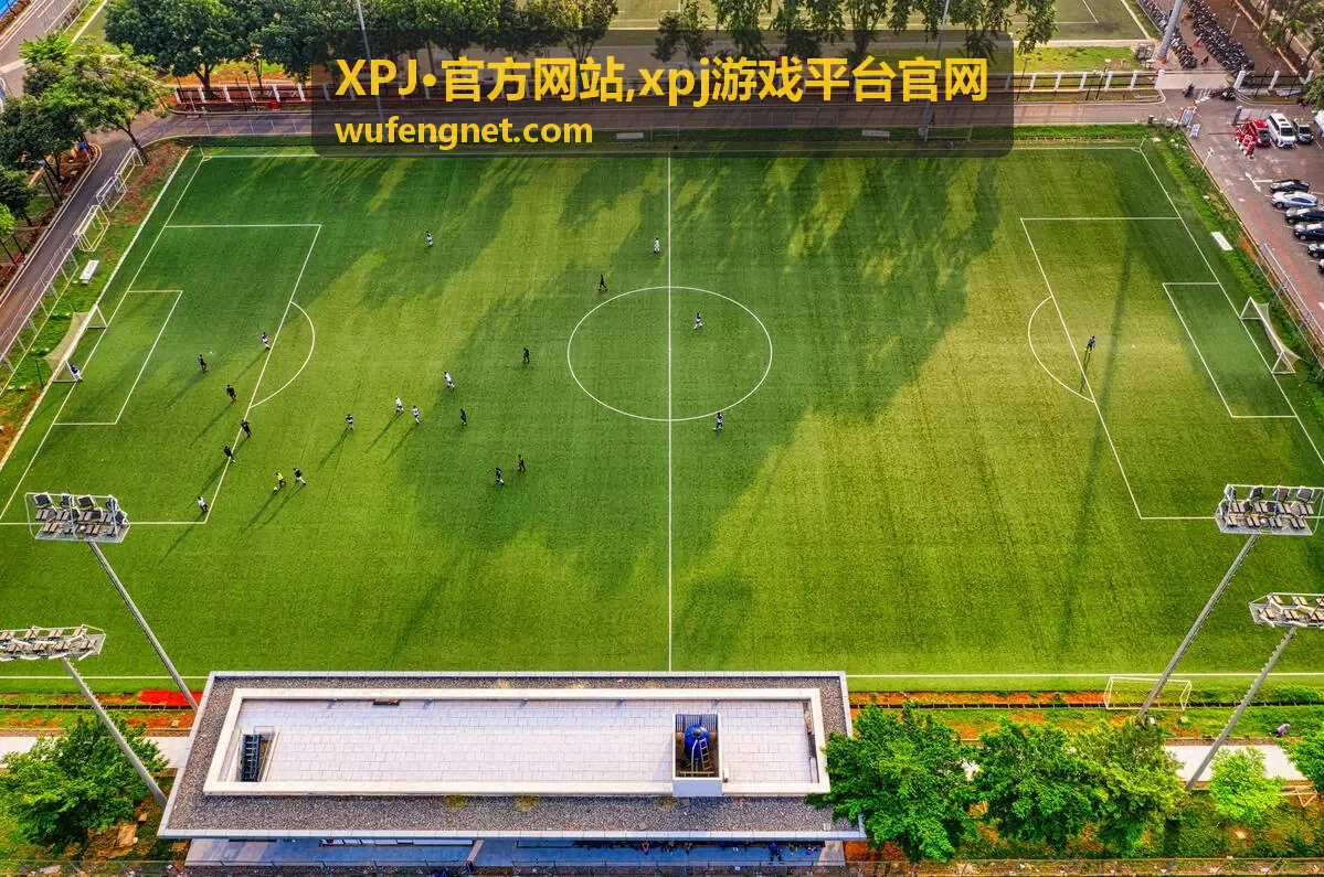 XPJ游戏平台官网分类入口图